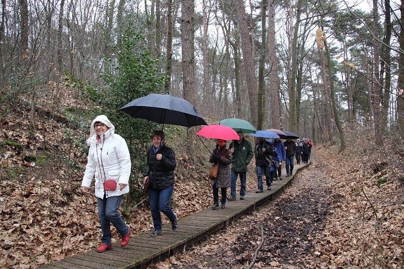 MG Winterwandeling_ (107).JPG